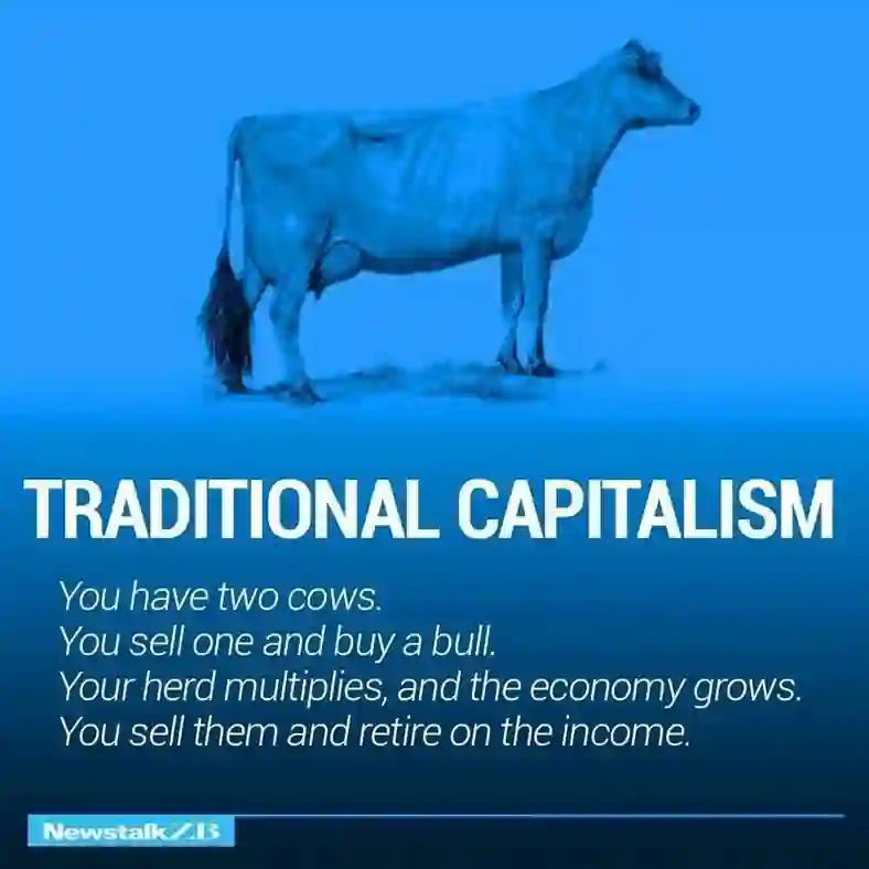 Image Slide 4 Defines Traditional Capitalism