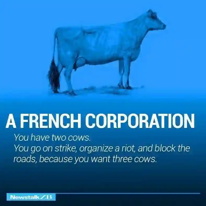 Image Slide 6 Defines French Corporations